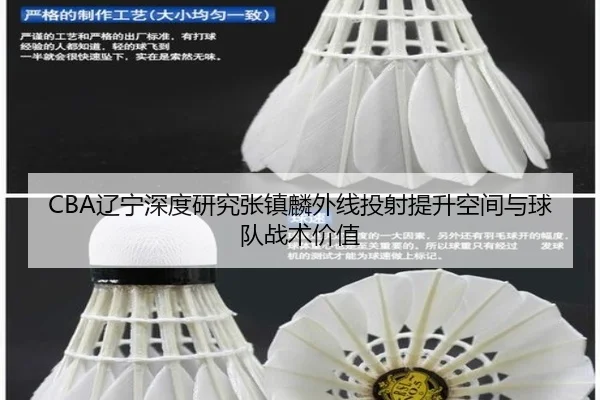 CBA辽宁深度研究张镇麟外线投射提升空间与球队战术价值