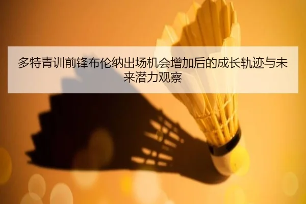 多特青训前锋布伦纳出场机会增加后的成长轨迹与未来潜力观察